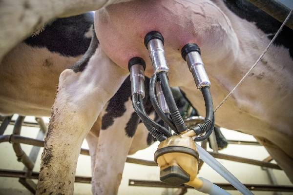 Pièce en caoutchouc pour le secteur agricole